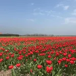 Vakantiewoning Skuur Feriehus