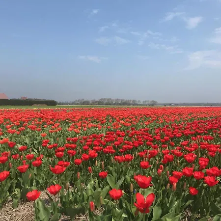 Vakantiewoning Skuur Holiday home